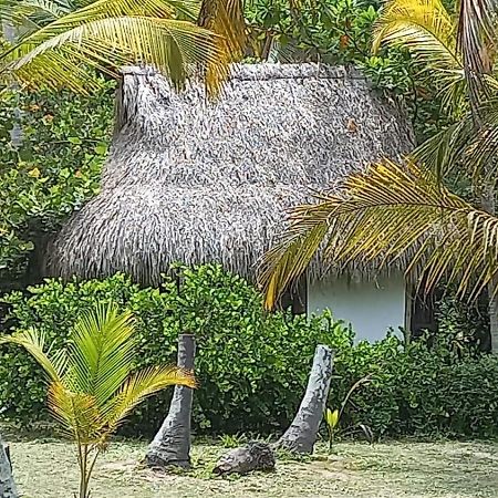 Playa Pikua Ecolodge Guachaca Luaran gambar