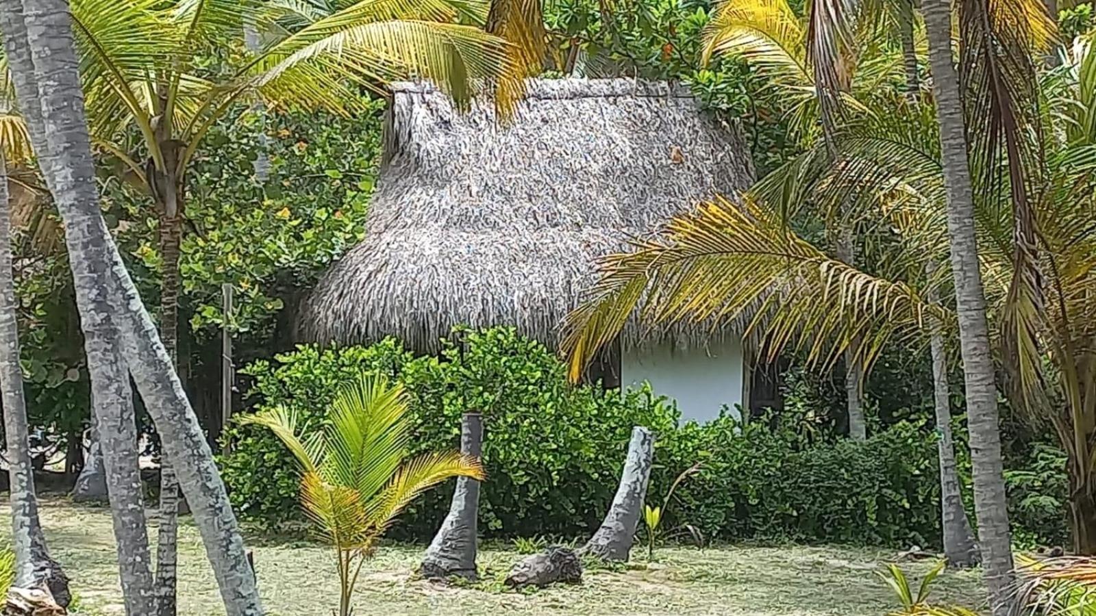 Playa Pikua Ecolodge Guachaca Luaran gambar