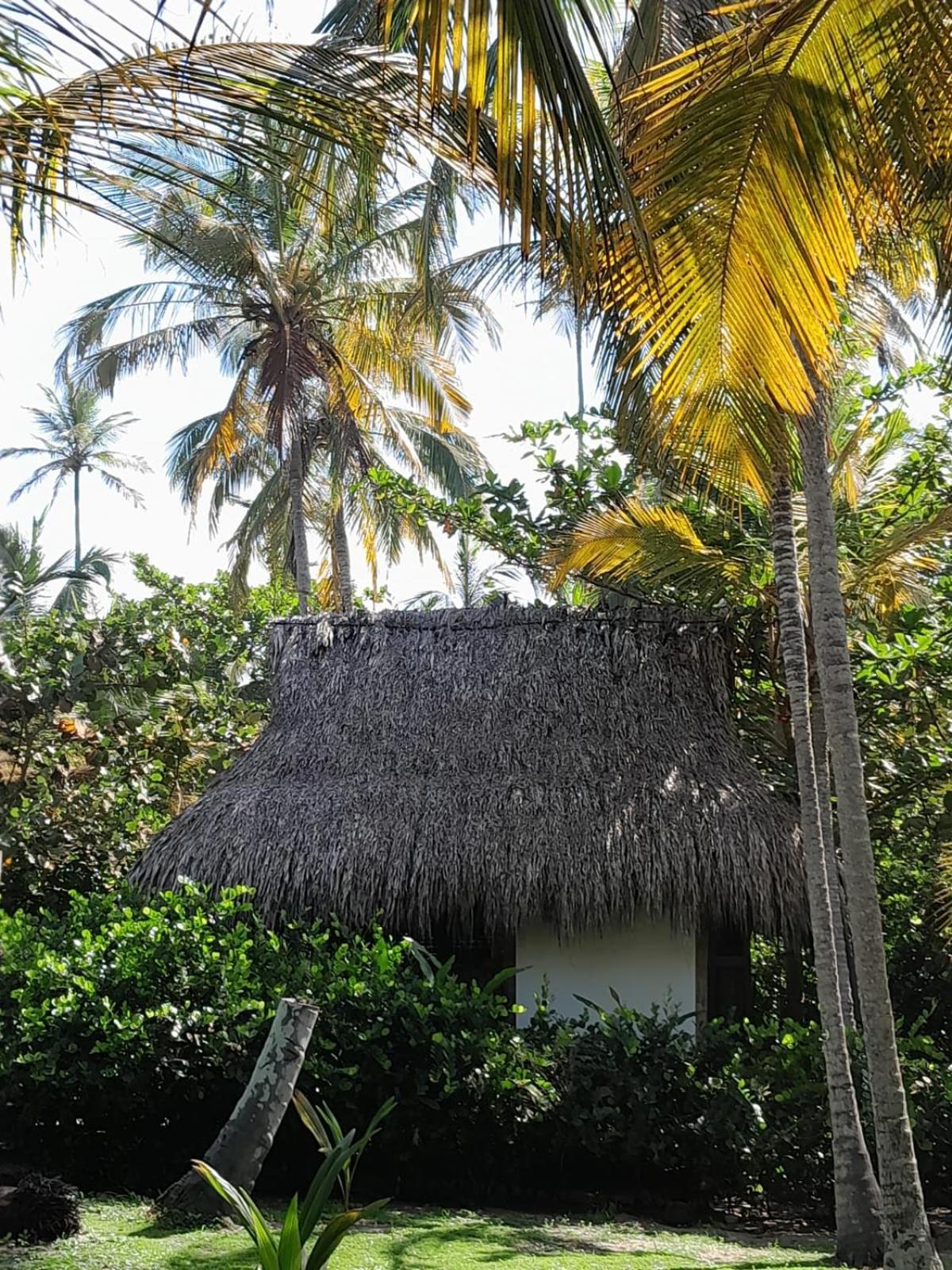 Playa Pikua Ecolodge Guachaca Luaran gambar