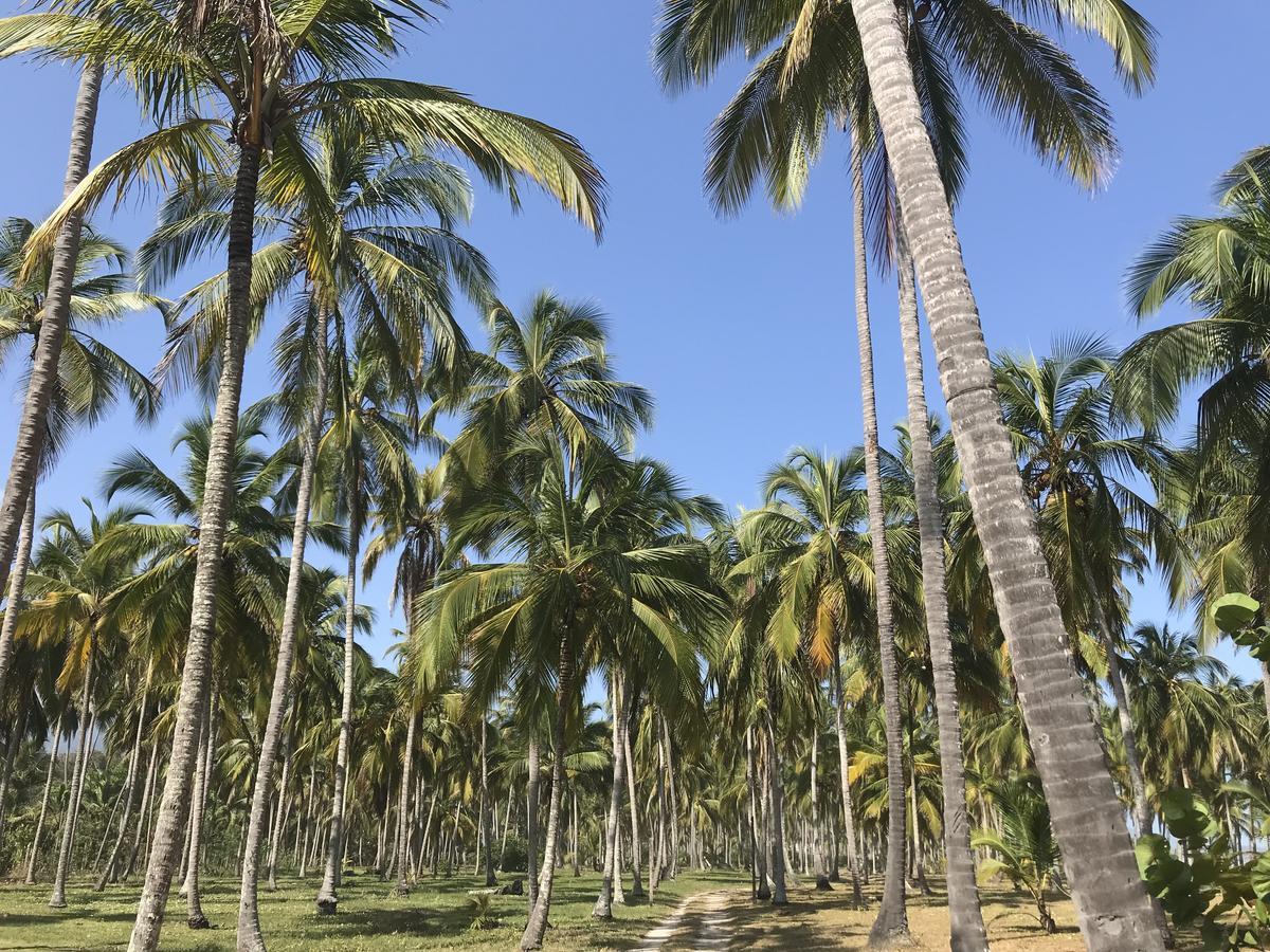 Playa Pikua Ecolodge Guachaca Luaran gambar