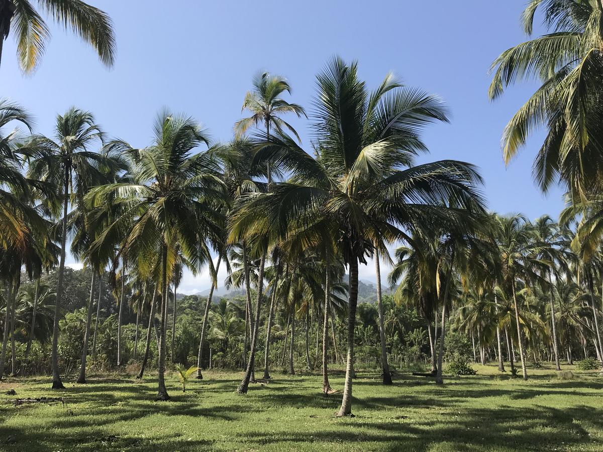 Playa Pikua Ecolodge Guachaca Luaran gambar