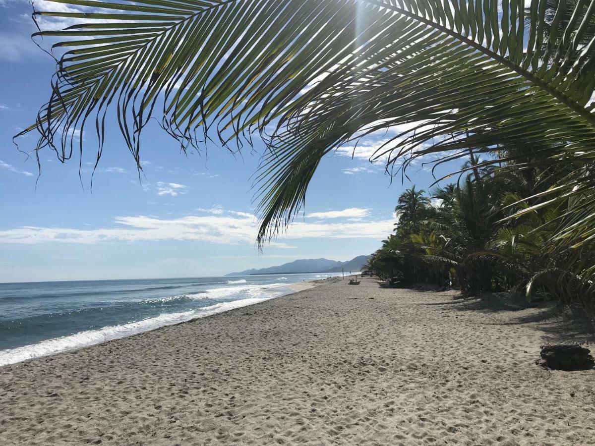 Playa Pikua Ecolodge Guachaca Luaran gambar